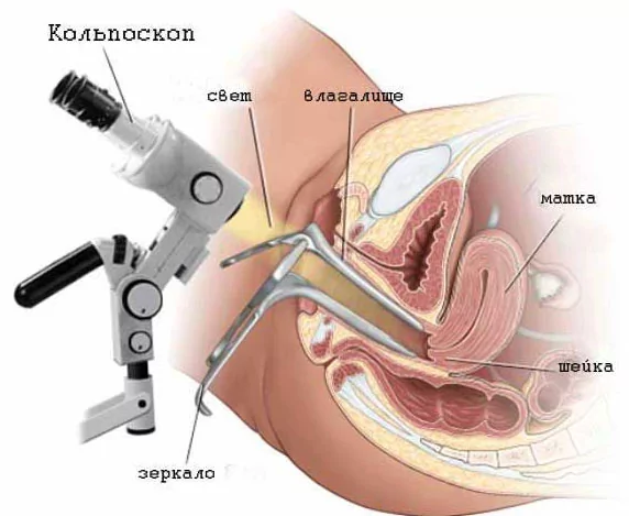 Вы точно человек?